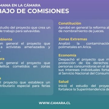Contrato para salvavidas entre los temas que abordaron las comisiones