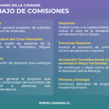 Derechos lingüísticos entre temas que abordaron las comisiones