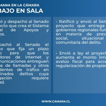 Sala despachó sistema de cuidados y proyectos relativos a seguridad pública