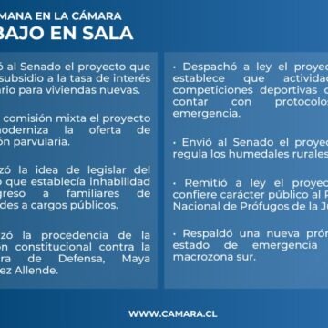 Cámara despachó dos proyectos a ley esta última semana de marzo