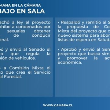 Cámara despachó nueva ley en esta primera semana de marzo