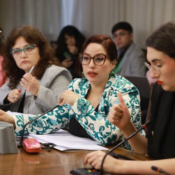 Aprueban facultades para órganos que otorgarán y administrarán el FES