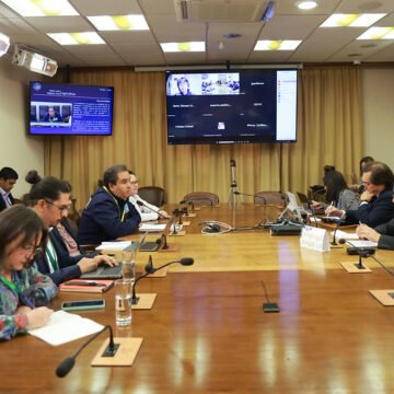 Piden pausar prohibición de leña en región de O’Higgins
