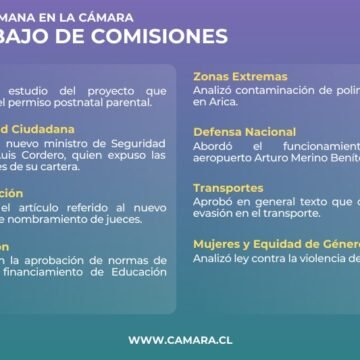 Extensión del postnatal entre las materias que abordaron las comisiones