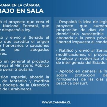 Sala: Sistema de Inteligencia y Sernafor despachados esta semana