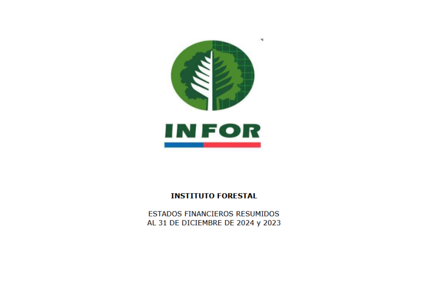 Instituto Forestal, Estados Financieros Resumidos al 31 de Diciembre de 2024 y 2023