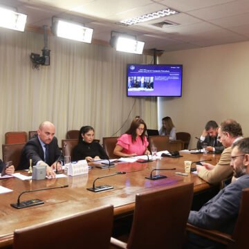 Informe ProCultura cuestiona a gobernadores así como el mal uso de recursos públicos