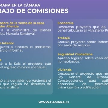 Comisiones abordaron problemática del comercio informal