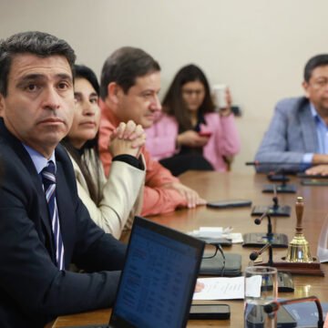 Comisión de Minería analizó situación del litio con empresas chinas