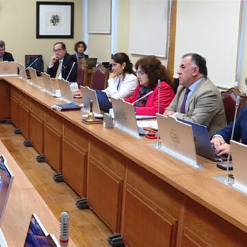 Comisión de Futuro avanzará en proyectos de neuroderechos e IA