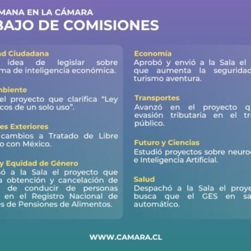 Mejoras al GES entre materias que abordaron las comisiones
