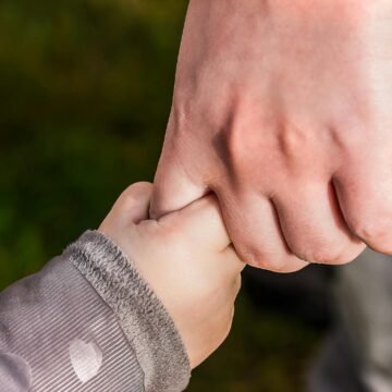 Adopción, fraccionamiento pesquero e ingreso mínimo en tabla para esta semana