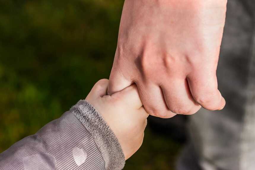 Adopción, fraccionamiento pesquero e ingreso mínimo en tabla para esta semana