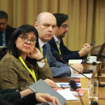 Investigadora por megaincendio continúa recopilación de datos