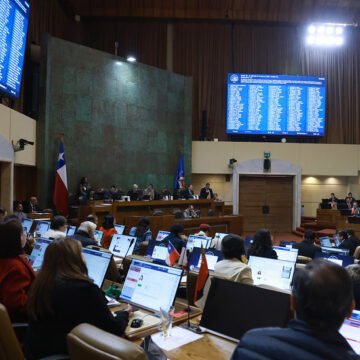 Al Senado proyecto que fortalece las Ferias Libres