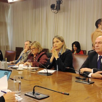 Seguridad ciudadana debate proyecto sobre instalación de pórticos en colegios