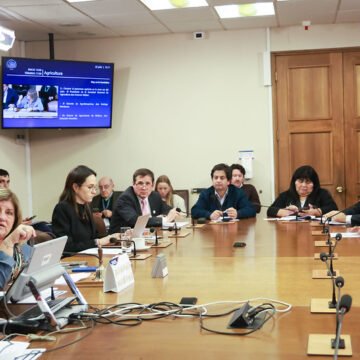 Inician estudio de proyecto que obliga a inscribir contratos de transacción de granos