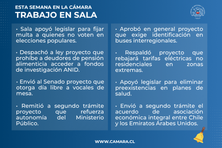 Un proyecto a ley y otras siete - Lamina Resumen Del Trabajo De La Sala 768x512
