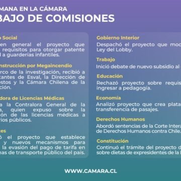 Subsidio al empleo entre los temas de las comisiones