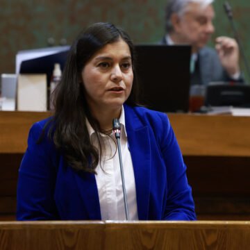 Eximen a vehículos de emergencia de grabar la patente en sus vidrios y espejos