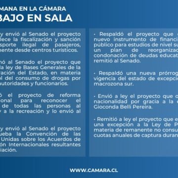 Sala de la Cámara despachó el FES y otros seis proyectos esta semana