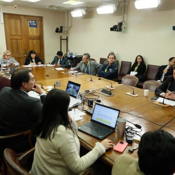 Comisión de Agricultura analizó realidad nacional de la apicultura