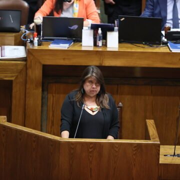 Cámara aprueba norma que evita a condenados por VIF recibir pensión de sobrevivencia de la víctima