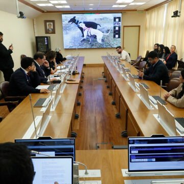 A Sala proyecto que sanciona carreras de perros