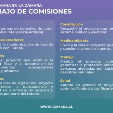 Más actividad física en colegios analizaron las comisiones