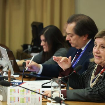 A Sala proyecto que promueve vino y pisco nacionales