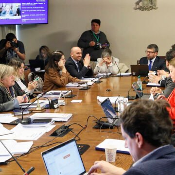 Seguridad Ciudadana aprobó artículos claves del Sistema de Inteligencia y Análisis Económico