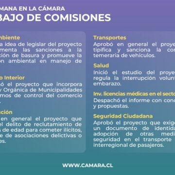 Proyecto sobre conducción temeraria entre temas de las comisiones