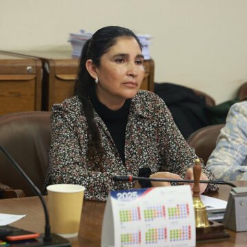 Comisión analiza el futuro del Programa Más Adulto Mayor Autovalente