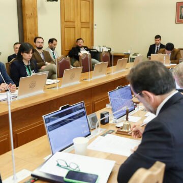 Gobierno y expertos expusieron en comisión que analiza acusación contra Pardow