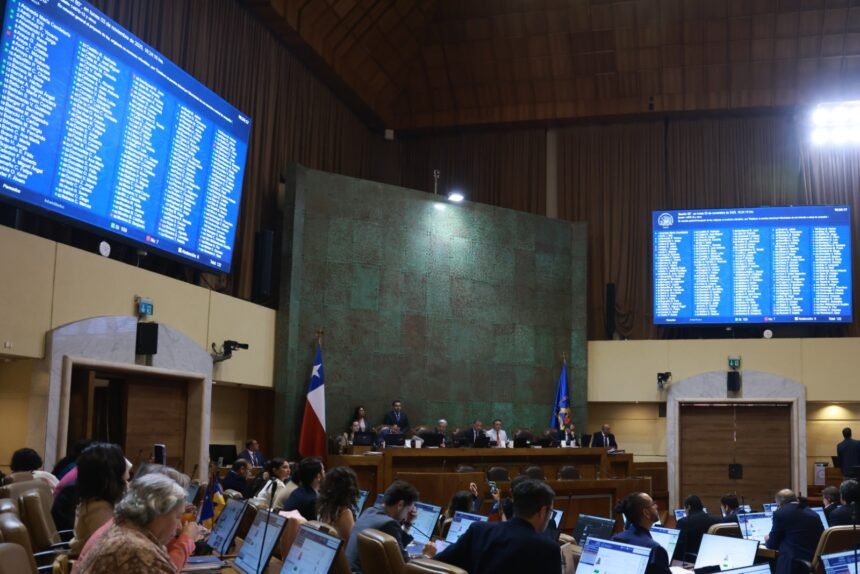 Cámara apoya permiso laboral para trabajadores por muerte de sus mascotas