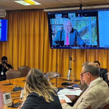 Comisión de Acusación contra el ministro Diego Simpertigue concluyó audiencias