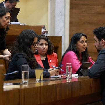 A mixta proyecto que reconoce el derecho al cuidado y crea el Sistema de Cuidados