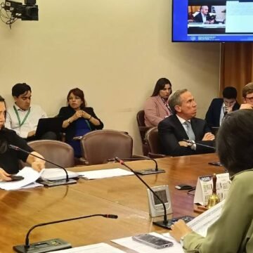 Constitución despachó proyecto que crea registro de condenados por maltrato animal