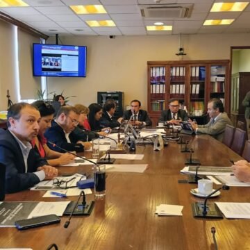 Sofofa y Frutas de Chile expusieron por eventual royalty portuario