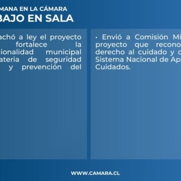 Seguridad municipal y sistema de cuidados en los temas de la Sala de esta semana