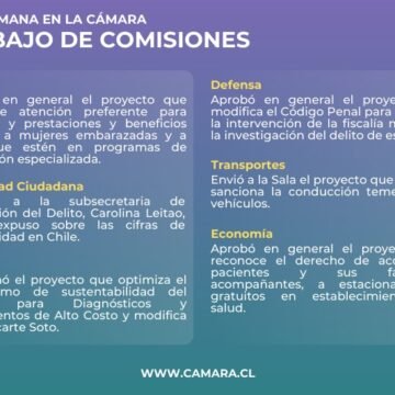 Resumen del trabajo de las comisiones de la Cámara