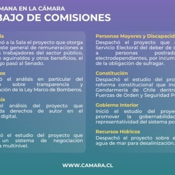 Comisiones de la Cámara: reajuste y reformas clave