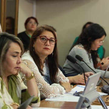 Fomento a las artes de la visualidad se despachó a la Sala