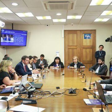 Comisión de Agricultura analiza catástrofe por incendios forestales