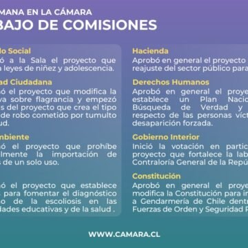 Comisiones de la Cámara: seguridad, reajuste y niñez