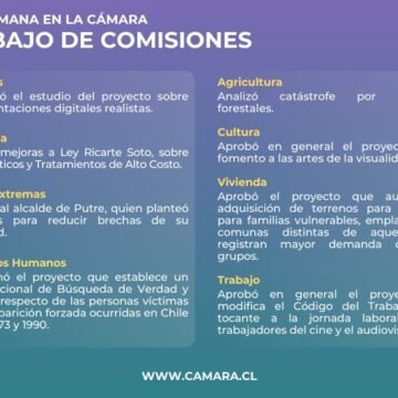 Comisiones de la Cámara abordaron niñez, IA y desalinización