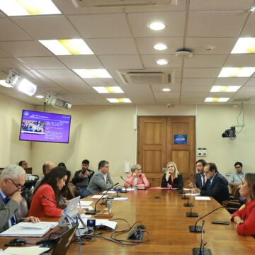 Constitución rechazó reforma que limitaba indultos presidenciales
