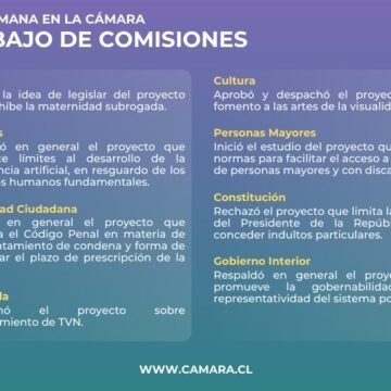 Comisiones de la Cámara: ejes de la semana legislativa