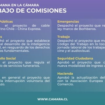 Comisiones de la Cámara: seguridad, bomberos y tratados