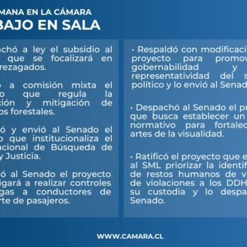 Sala: Once proyectos y dos informes de investigadoras despachados esta semana